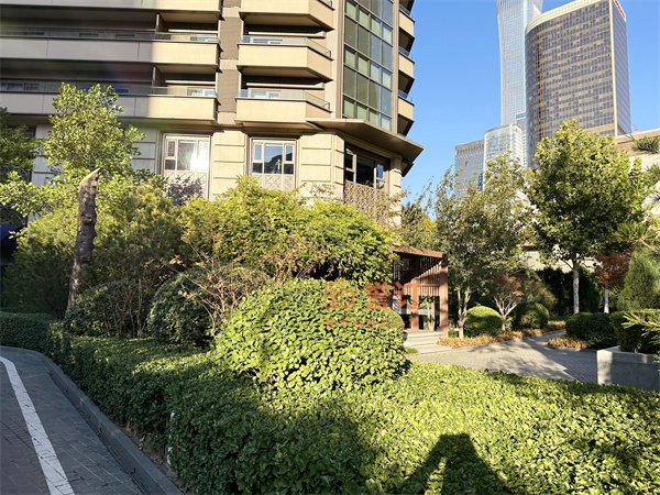 国贸公寓20241026 (4).jpg