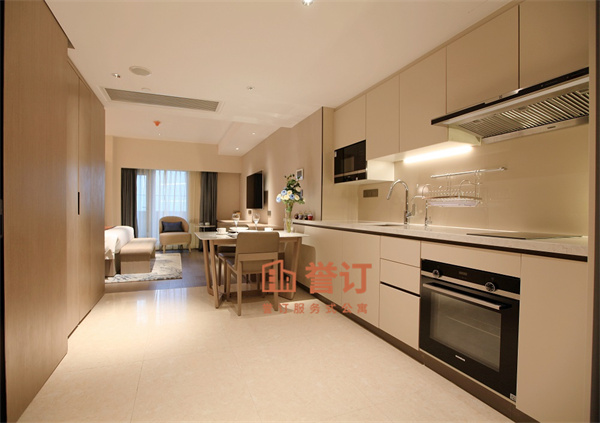 国贸公寓 开间42sqm (4).jpg